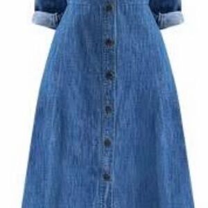 Blue Denim Button-Down Dress